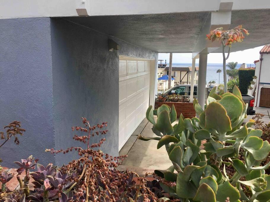 Blue Whale Inn San Clemente Jewel Unit D Экстерьер фото